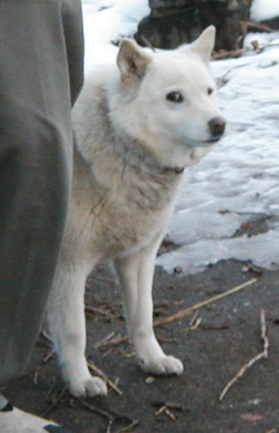 Weary of paparazzi