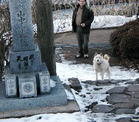 Freedom cemetary dog