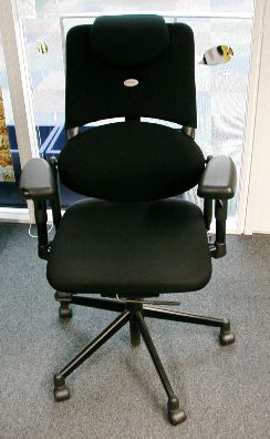 Professor's Chair