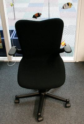 Invited Scholar Chair