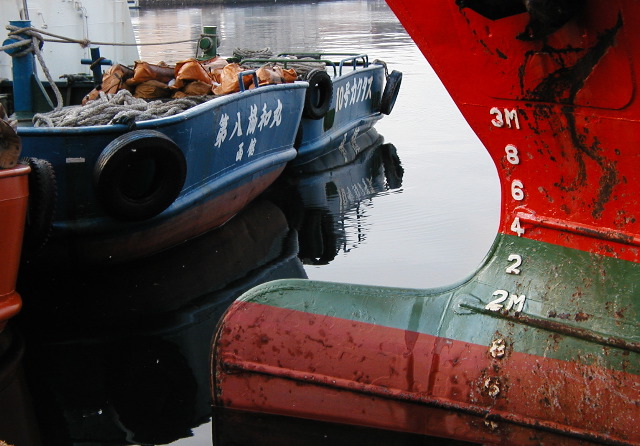 Boats with prosthetic limbs!