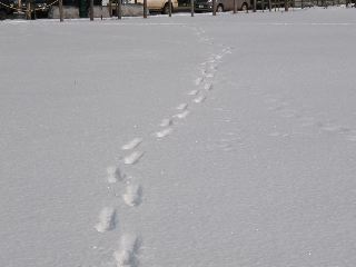 I Decided to walk down town. Took 2 hours.