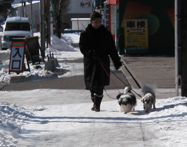 woman with three lasa apso